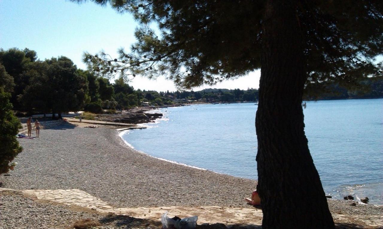 Studio Green Garden Borik Rovinj Zewnętrze zdjęcie